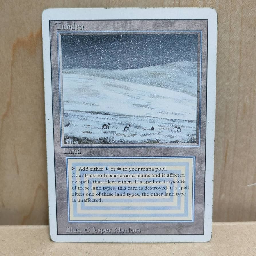 Tundra マジック：ザ・ギャザリング 土地カード Tundra》[3ED] 土地R | 日本最大級 MTG通販サイト「晴れる屋」